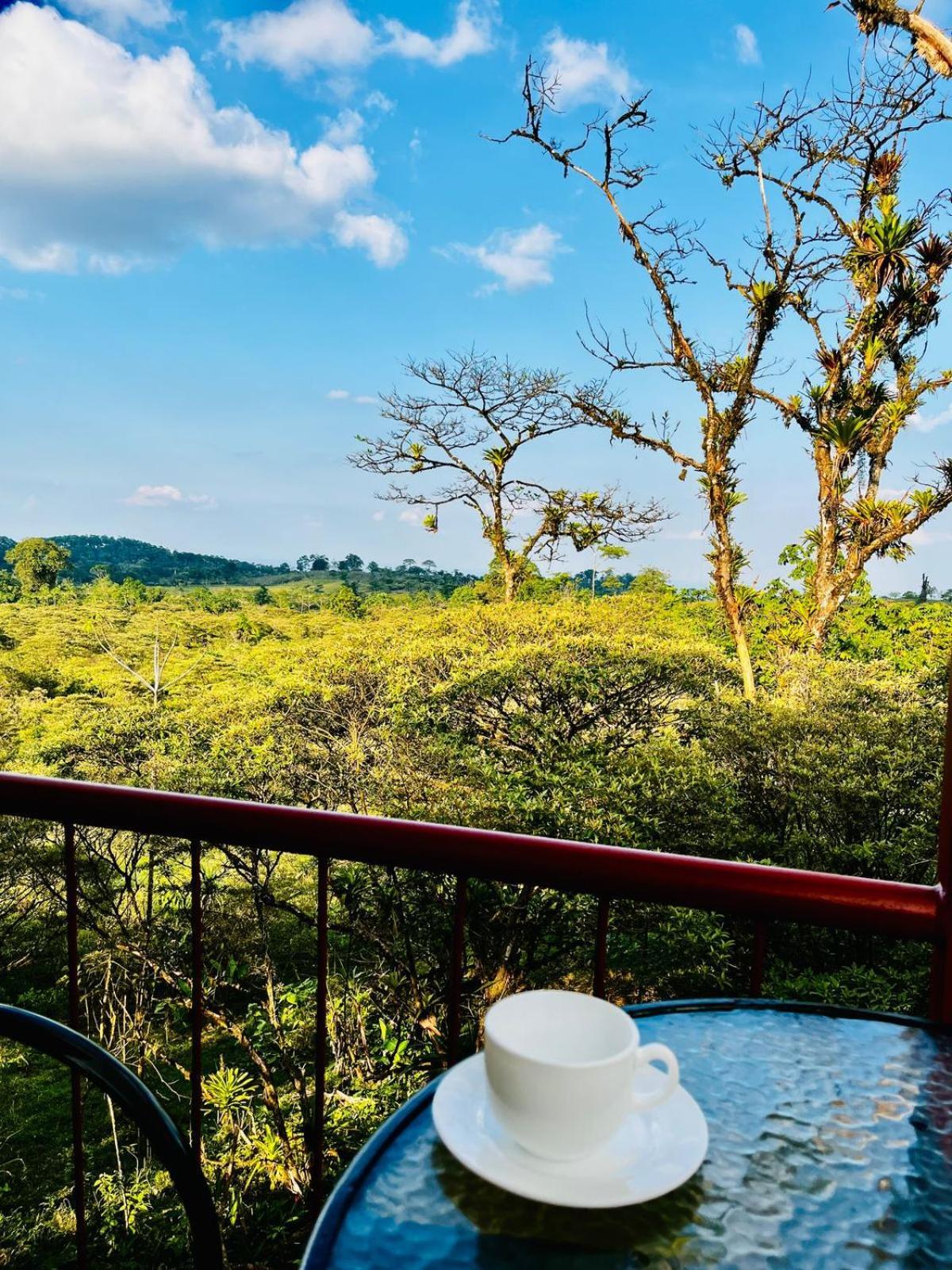 Garza Del Sol Glamping Rio Celeste Buganvilia Exterior photo